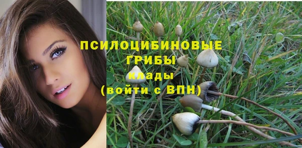 кокаин колумбия Белокуриха