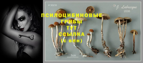 кокаин колумбия Белокуриха