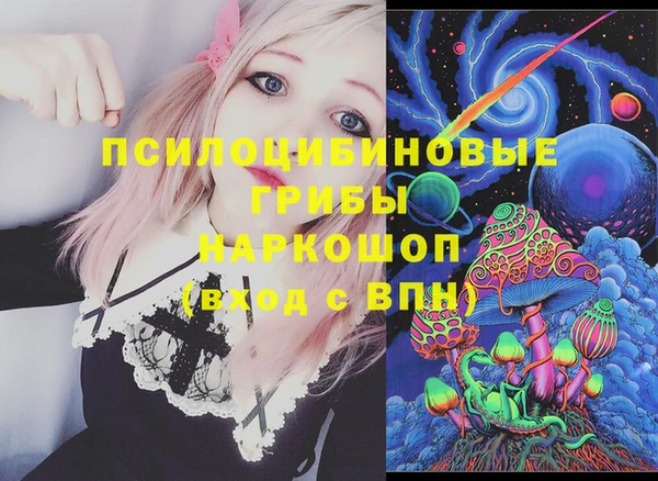 ПСИЛОЦИБИНОВЫЕ ГРИБЫ Семилуки