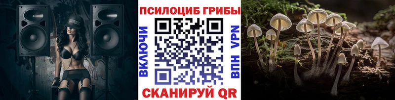 shop формула  Пыть-Ях  Псилоцибиновые грибы мухоморы  купить закладку 