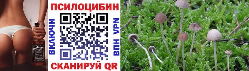 Галлюциногенные грибы Magic Shrooms Пыть-Ях